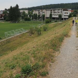 Studienreise 2025 Steiermark P7044419