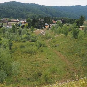 Studienreise 2025 Steiermark P7044420